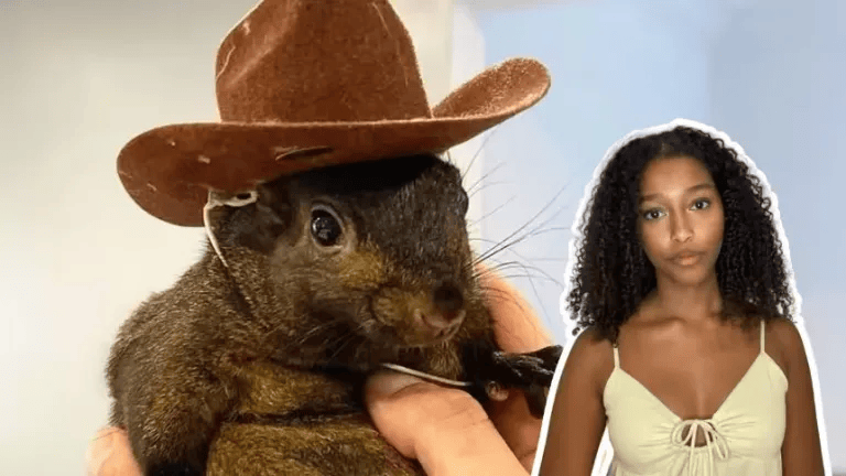 Public Outrage After Peanut the Squirrel’s Death: Why Animal Lovers Are Demanding Justice