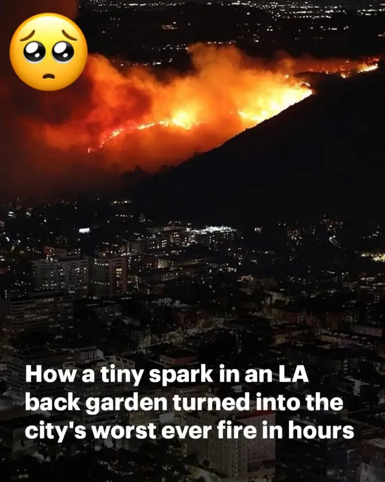 LA’s wildfire: Ignited by a backyard spark, it destroyed 20 square miles of mansions in hours and remains uncontrolled