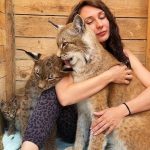 LYNXES WITH KITTENS caress me / Lynx breaks Alice's building