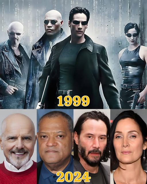 The Matrix Then and Now: A 25-Year Transformation