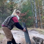 The Baby Bobcat’s Cry for Help