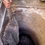 The Man Who Saved the Cat from the Borewell