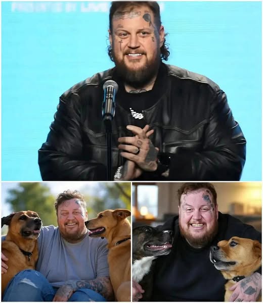 Jelly Roll Breaks the Internet with $20M Dog Sanctuary: A Paradise for Stray Pups