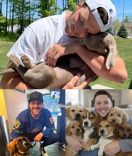 Act of love goes viral: Josh Allen announces he will invest $20 million to build a “paradise” dedicated to rescuing stray dogs, promising love and homes to thousands of abandoned puppies! G