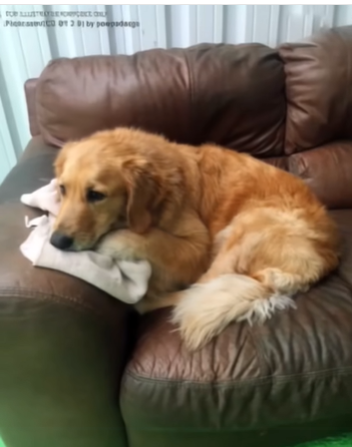 A $20 Couch From a Garage Sale Changed My Life in Just One Day